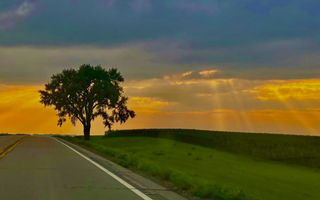 A lone tree stands in silhouette as the sun breaks through dark storm clouds, casting dramatic beams of light across the sky.