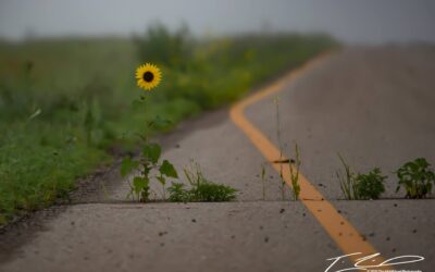 Loving Someone Who Doesn’t Believe They Deserve It